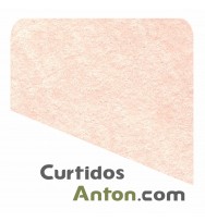 PLANCHA CATÓN PRENSADO